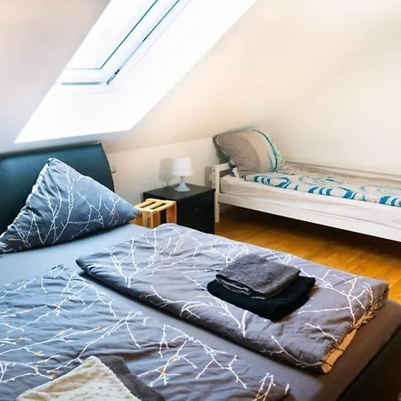 150 M² Maisonnette Whg Mit Galerie Fuer 10 Personen Appartement Wallertheim